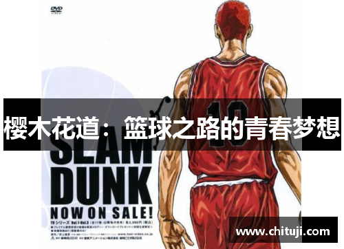 樱木花道：篮球之路的青春梦想